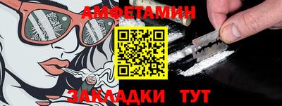 дмт Гатчина