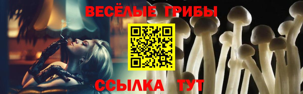 Галлюциногенные грибы GOLDEN TEACHER Гулькевичи